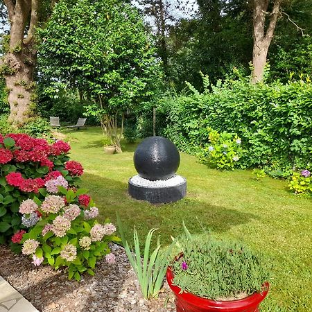 La Clairiere Du Seignanx Bed & Breakfast Saint-Martin-de-Seignanx Bagian luar foto