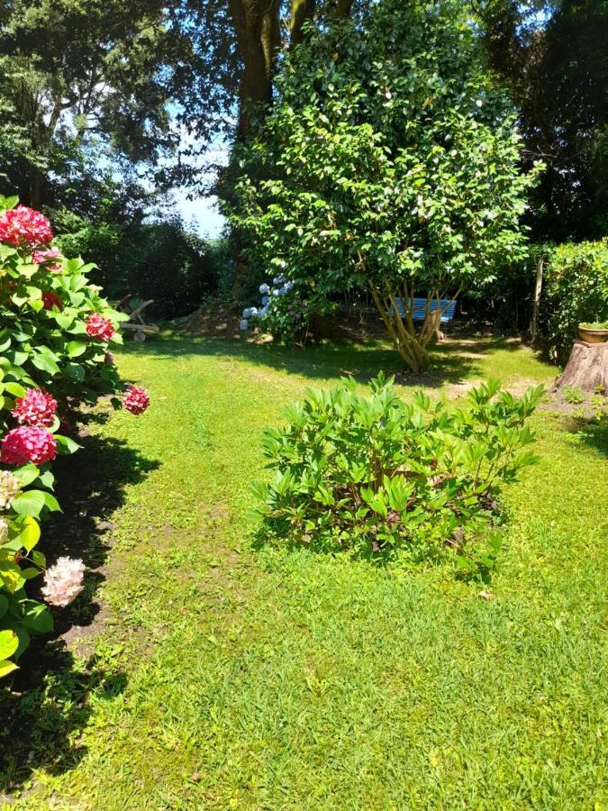 La Clairiere Du Seignanx Bed & Breakfast Saint-Martin-de-Seignanx Bagian luar foto