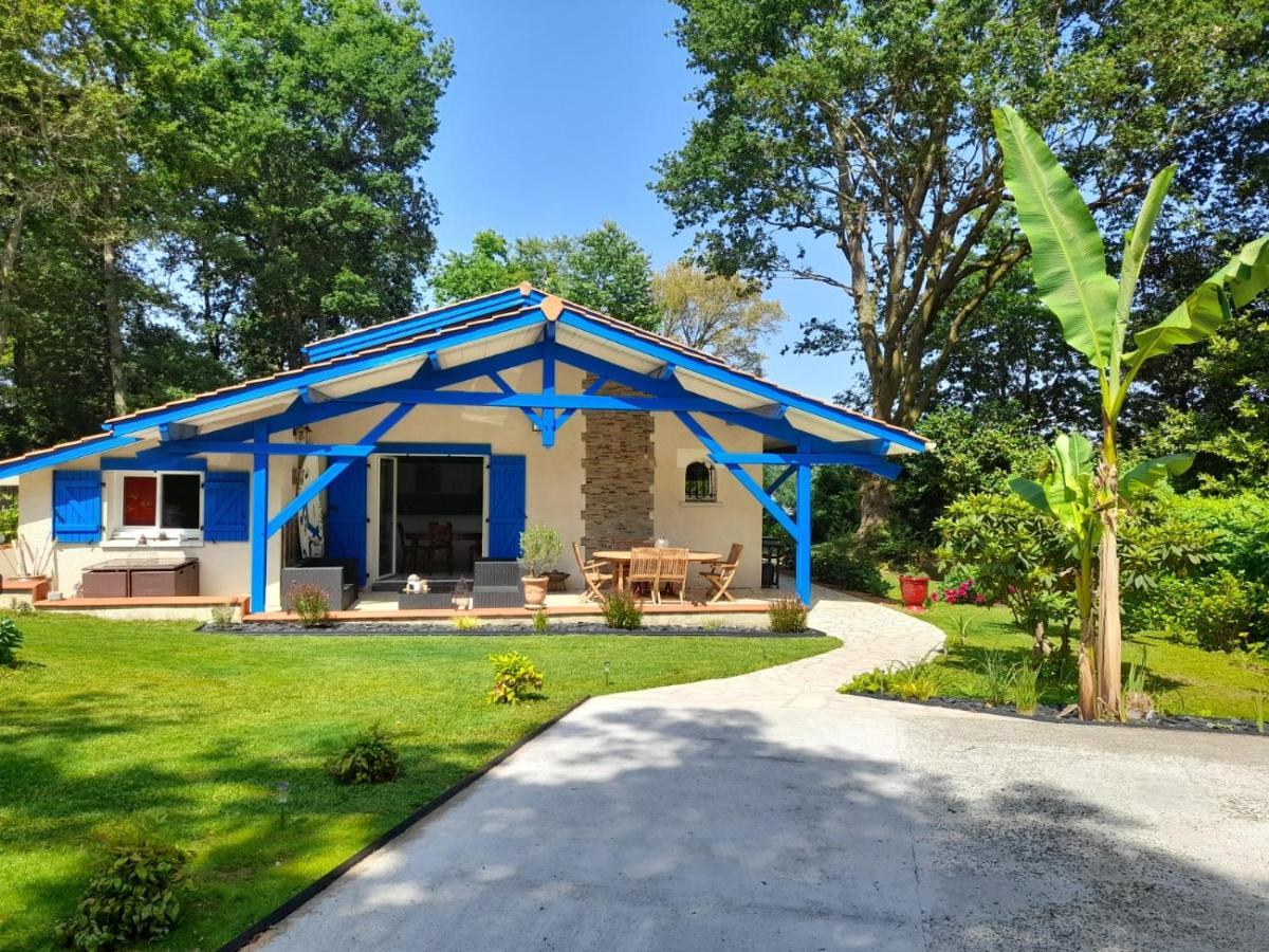 La Clairiere Du Seignanx Bed & Breakfast Saint-Martin-de-Seignanx Bagian luar foto
