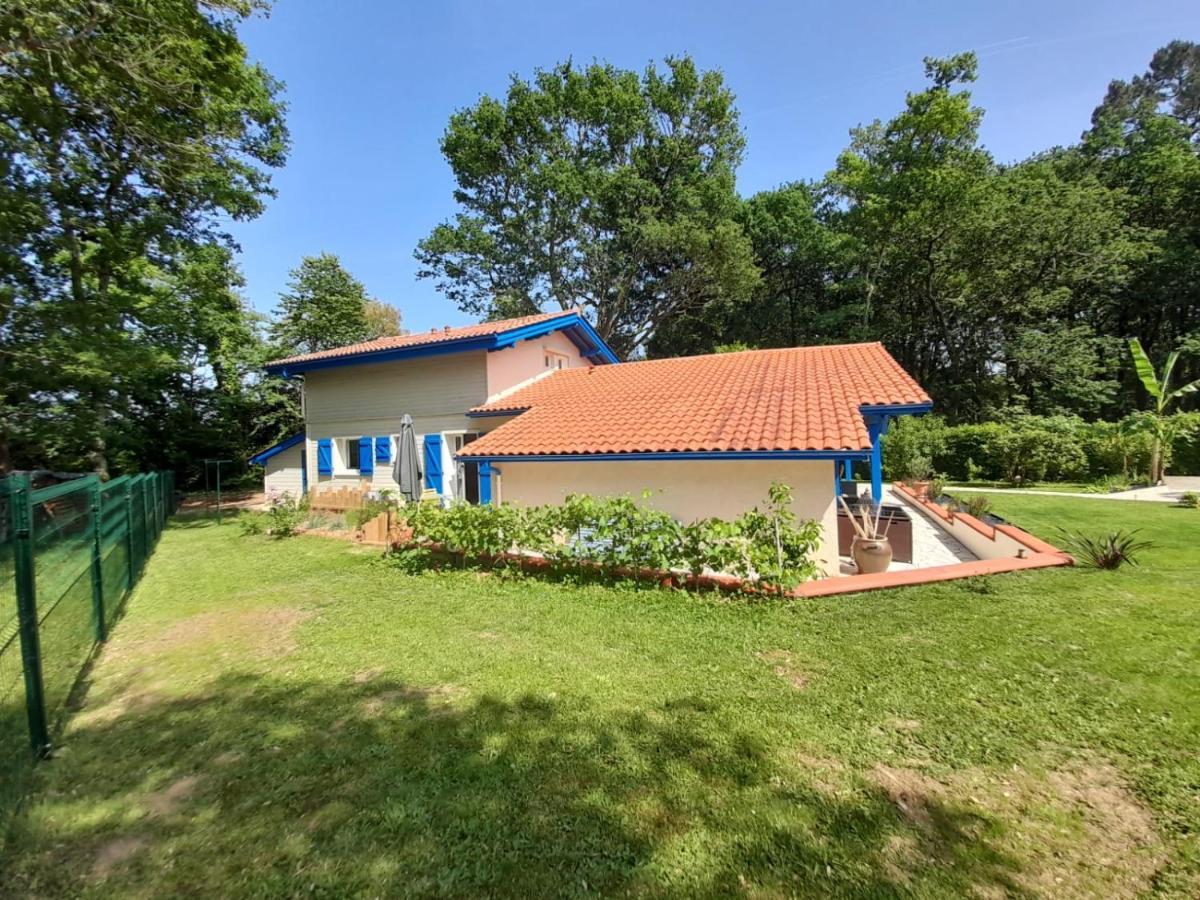 La Clairiere Du Seignanx Bed & Breakfast Saint-Martin-de-Seignanx Bagian luar foto