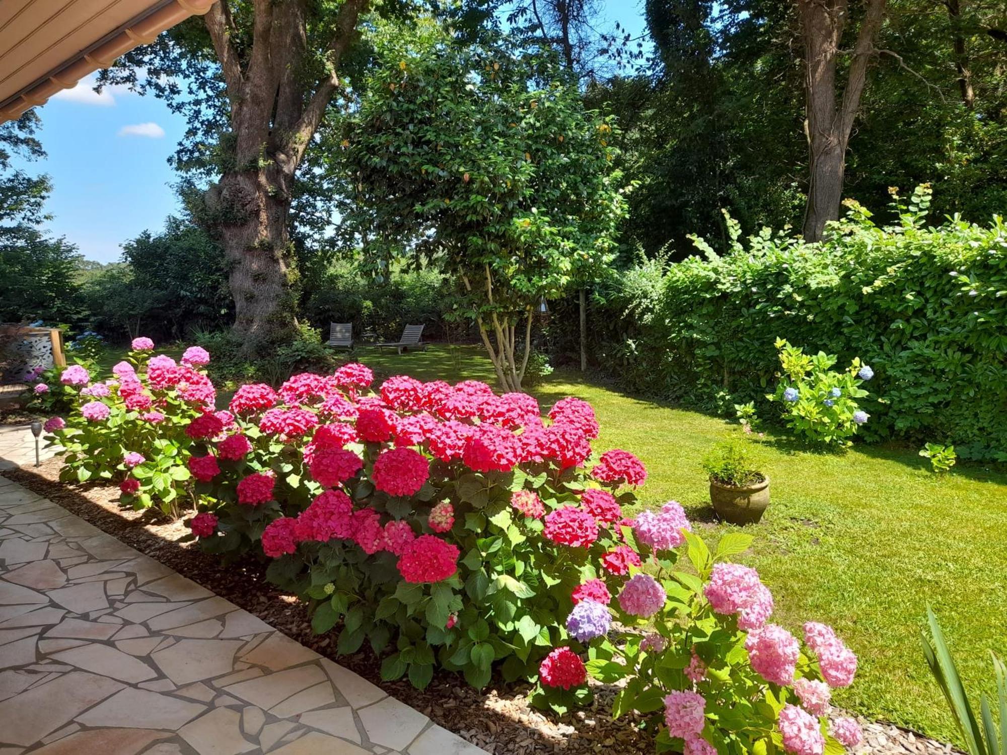 La Clairiere Du Seignanx Bed & Breakfast Saint-Martin-de-Seignanx Bagian luar foto