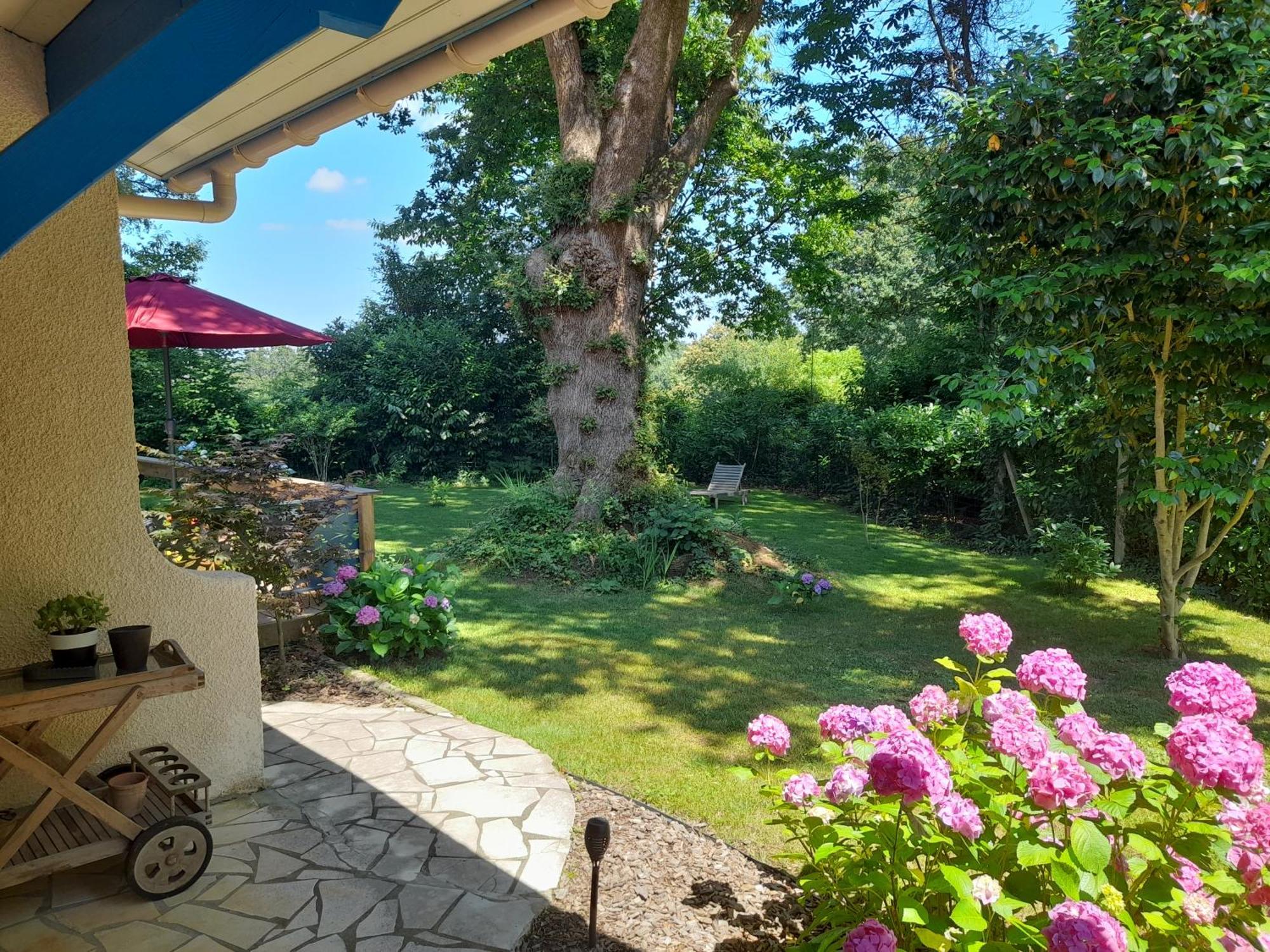 La Clairiere Du Seignanx Bed & Breakfast Saint-Martin-de-Seignanx Bagian luar foto